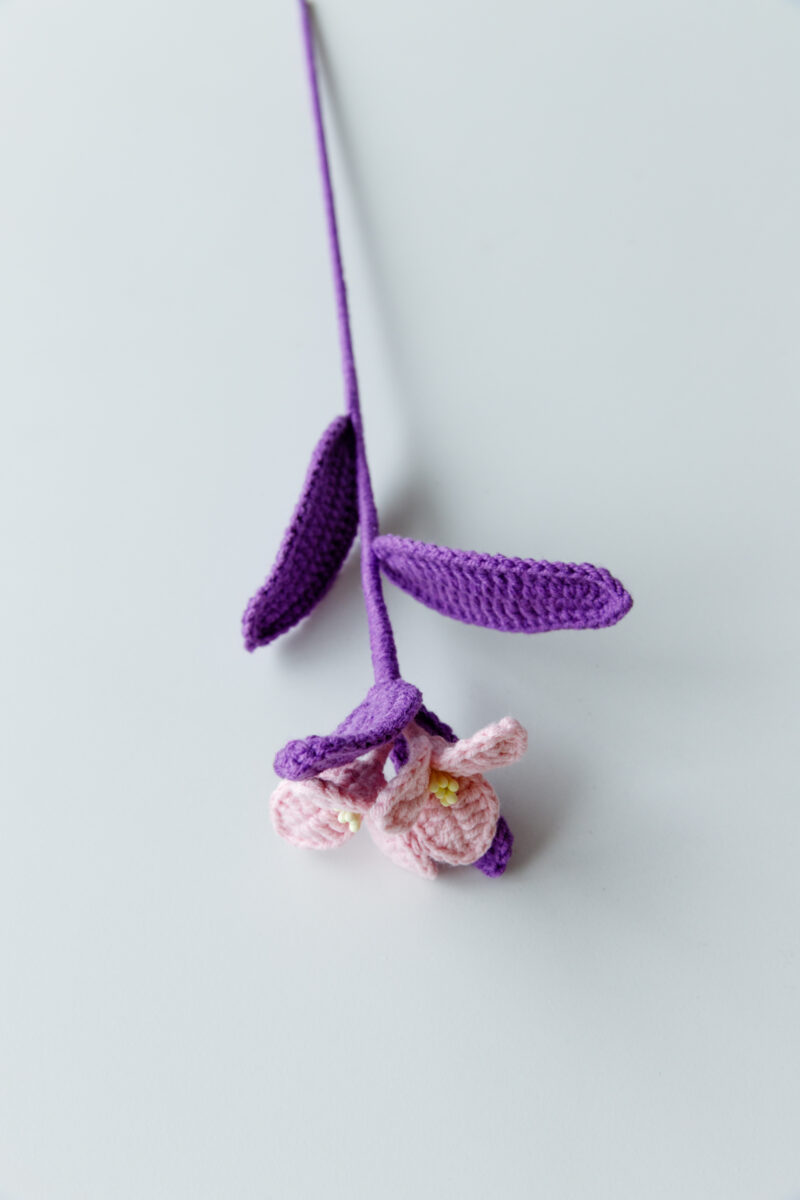 Tradescantia Pallida (Purple Heart Plant)-hookok Tradescantia Pallida (Purple Heart Plant)-hookok