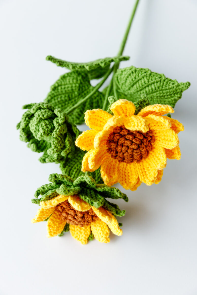 Lemon Queen Sunflower-hookok Lemon Queen Sunflower-hookok