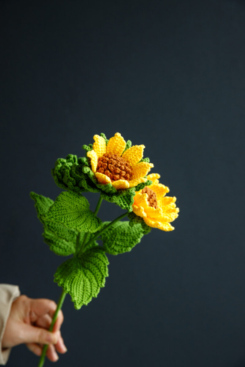 Lemon Queen Sunflower-hookok Lemon Queen Sunflower-hookok