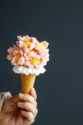 Cherry Blossom Ice Cream Cone-hookok