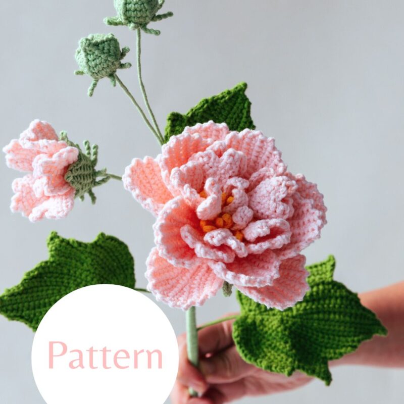 Hibiscus Mutabilis-HOOKOK