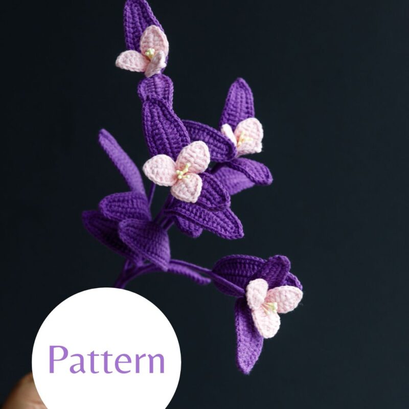 Tradescantia Pallida (Purple Heart Plant)-hookok