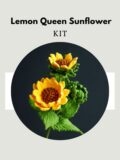 Lemon Queen Sunflower-hookok