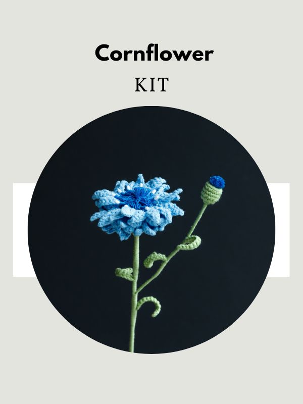 Cornflower-hookok