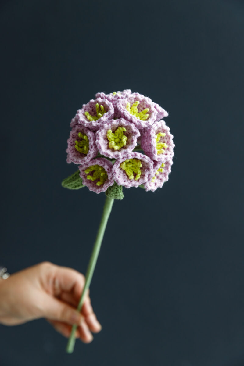 Windmill Fruit-hookok Windmill Fruit-hookok