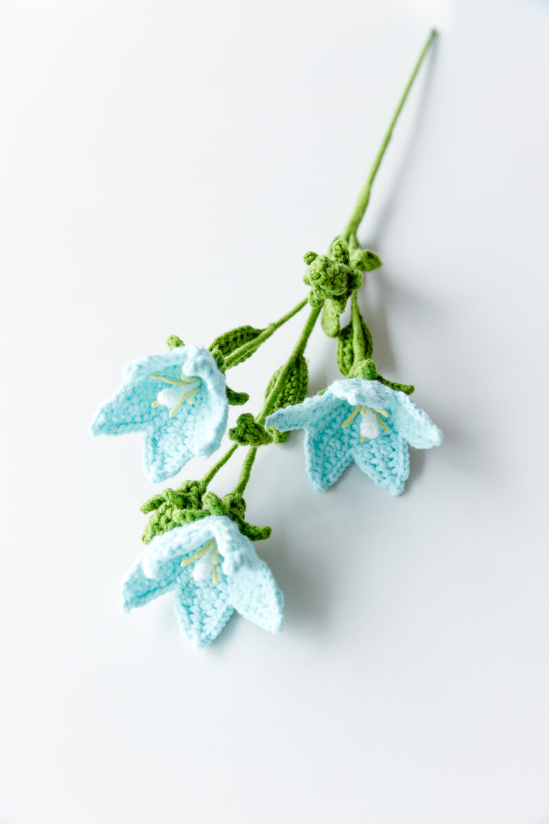 Chinese Bellflower-hookok Chinese Bellflower-hookok