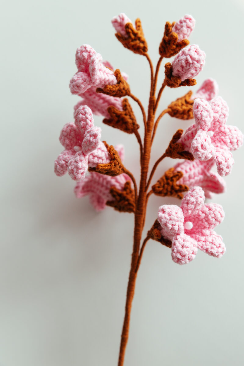 Paulownia Flower-hookok Paulownia Flower-hookok