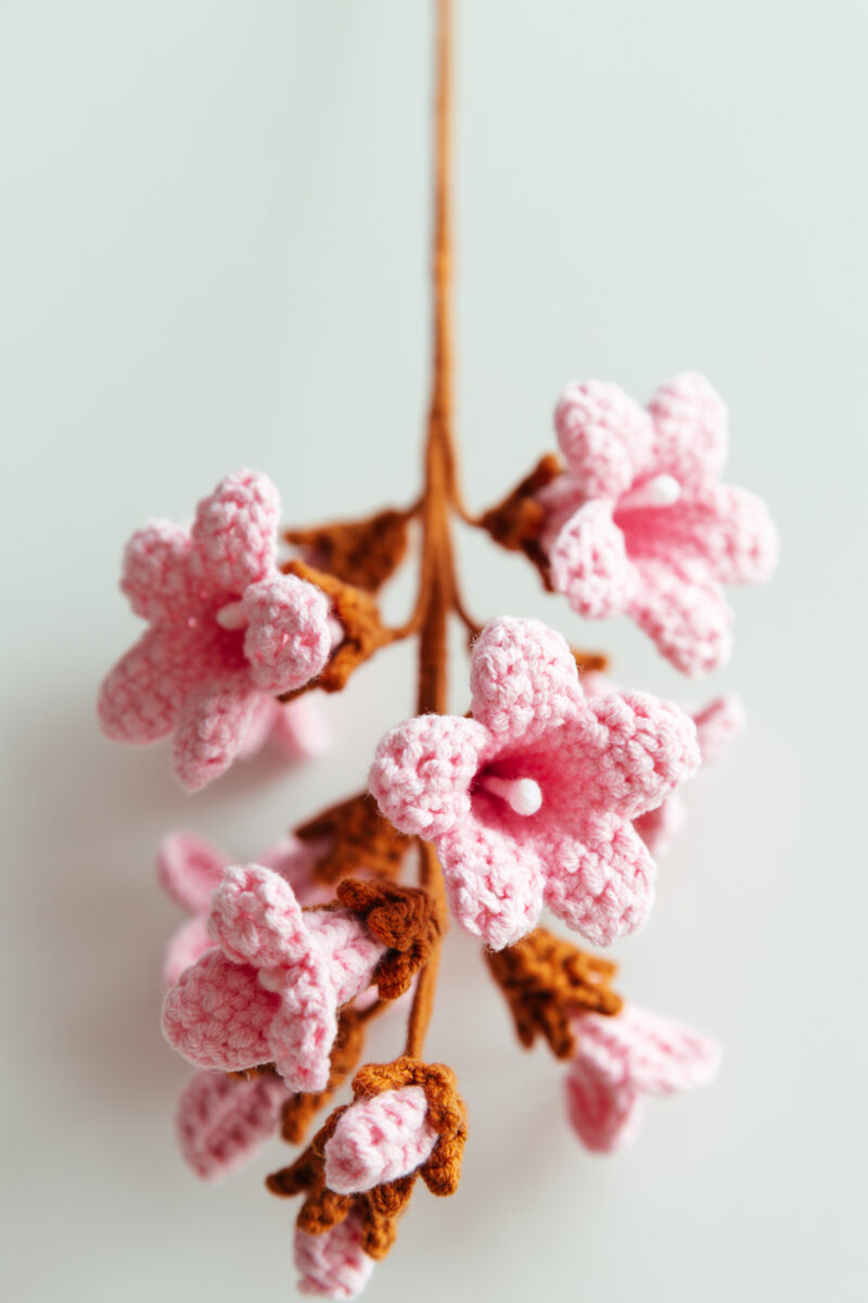 Paulownia Flower-hookok Paulownia Flower-hookok