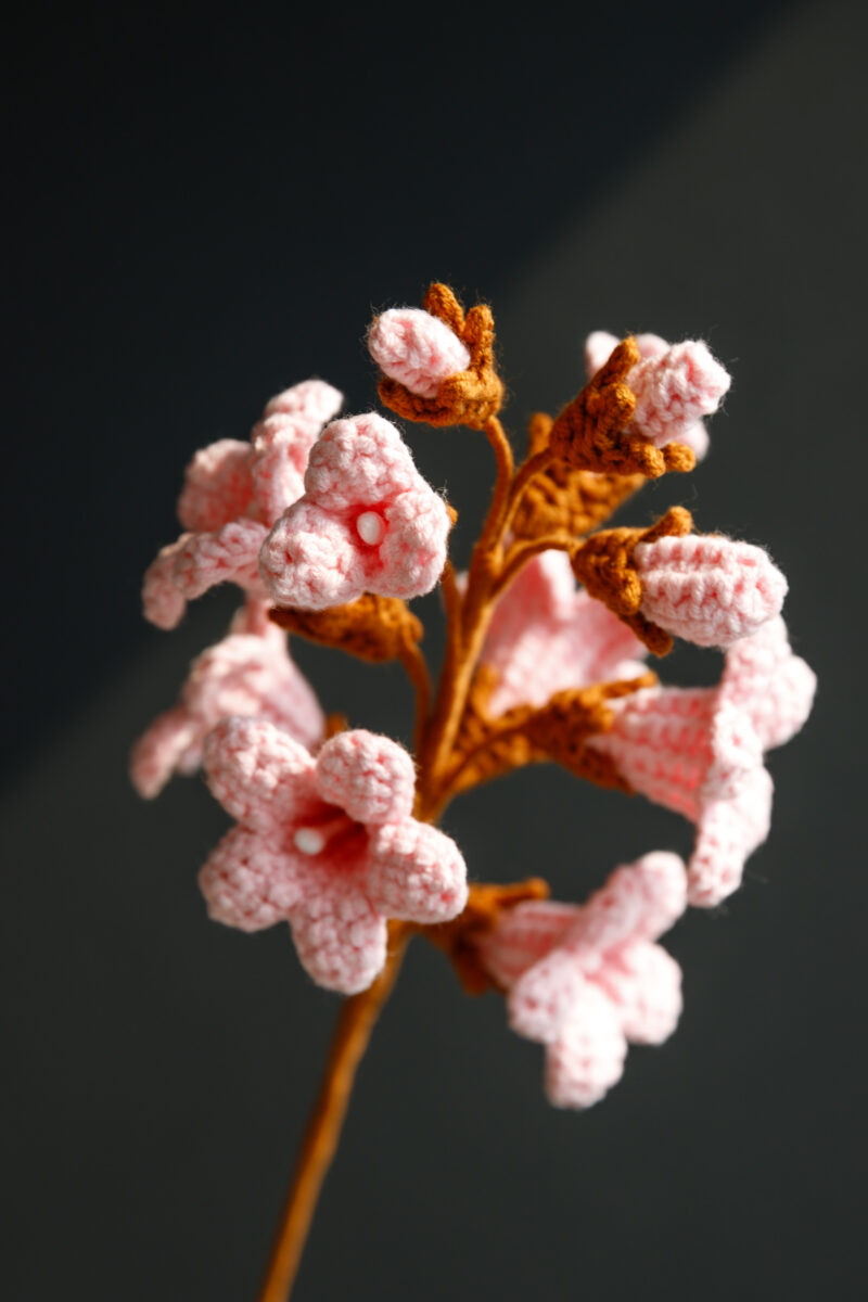 Paulownia Flower-hookok Paulownia Flower-hookok