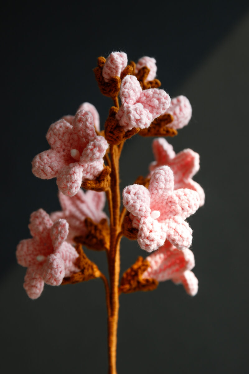 Paulownia Flower-hookok Paulownia Flower-hookok