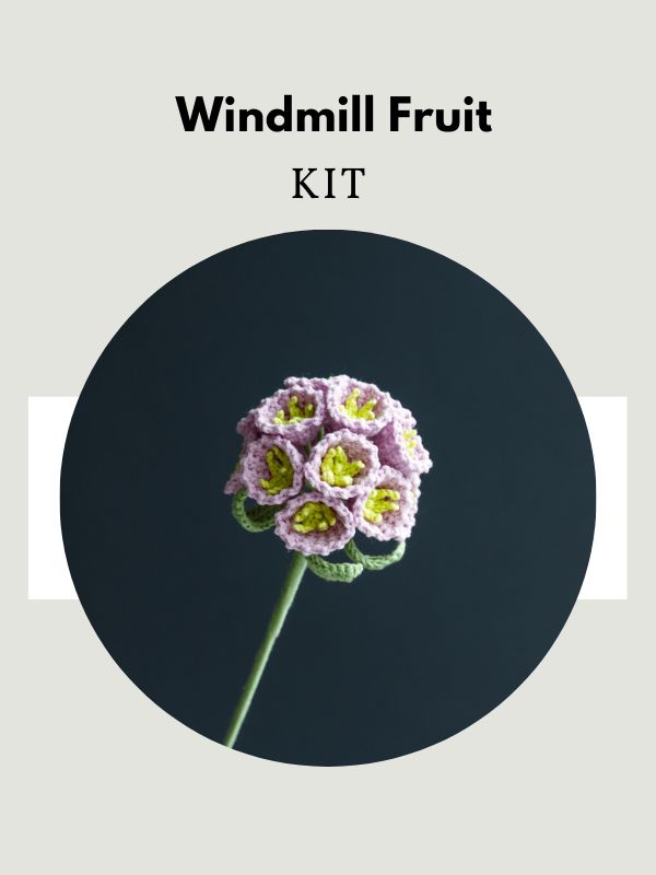 Crochet Windmill Fruit Kit – Hookok