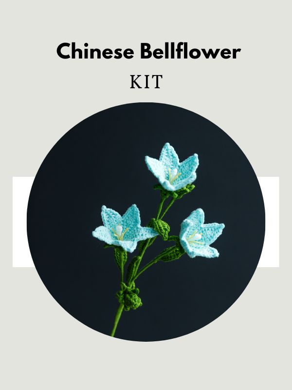 Chinese Bellflower-hookok