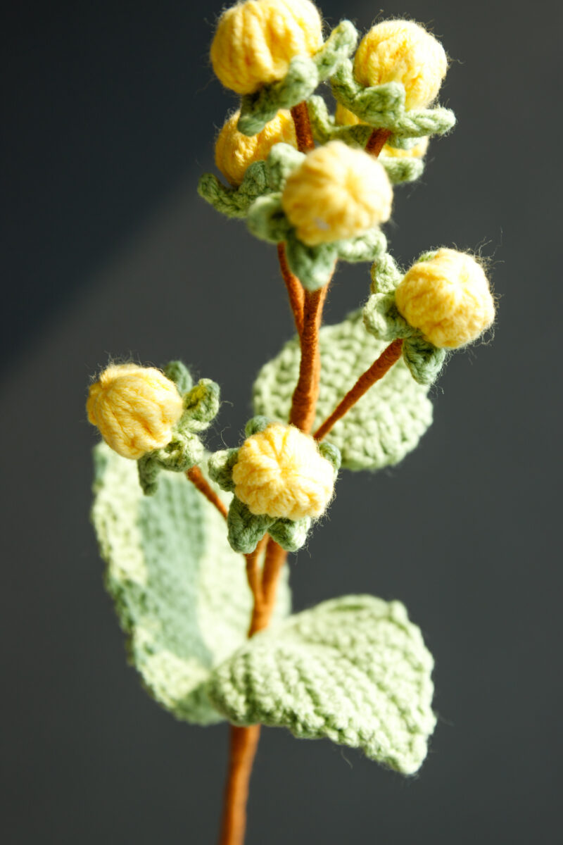 20260116products-37 20260116products-37