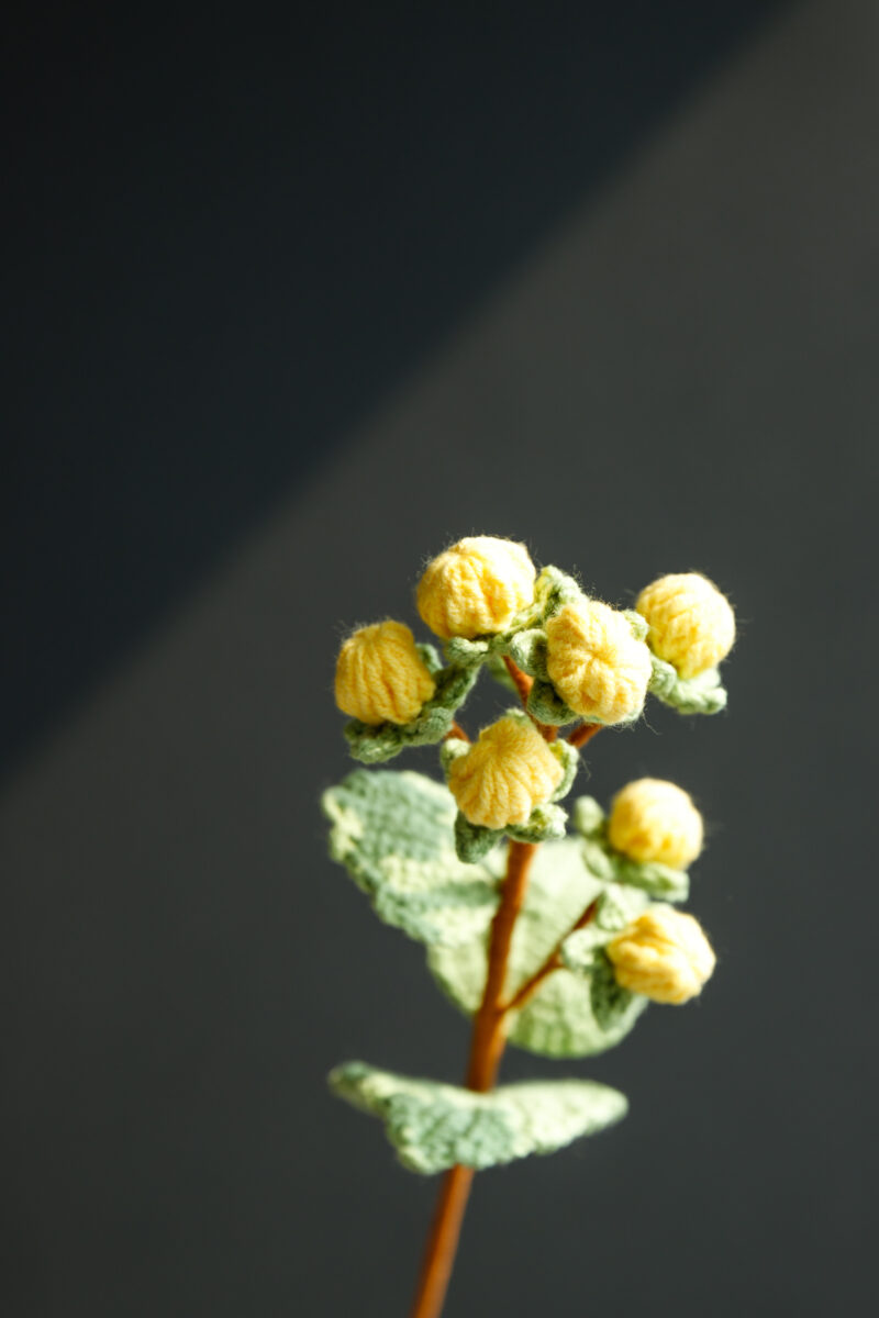 20260116products-40 20260116products-40