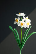 20260116products-42