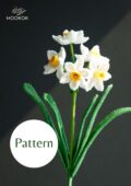 bunch flowered daffodil