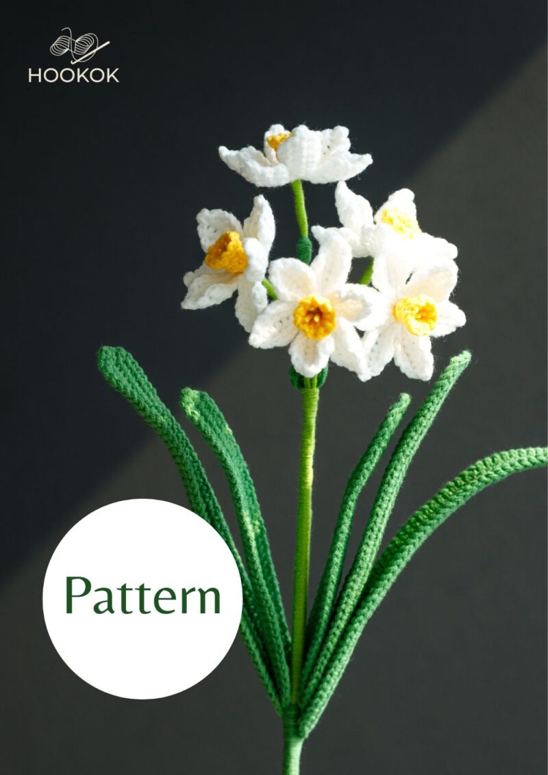 bunch flowered daffodil bunch flowered daffodil