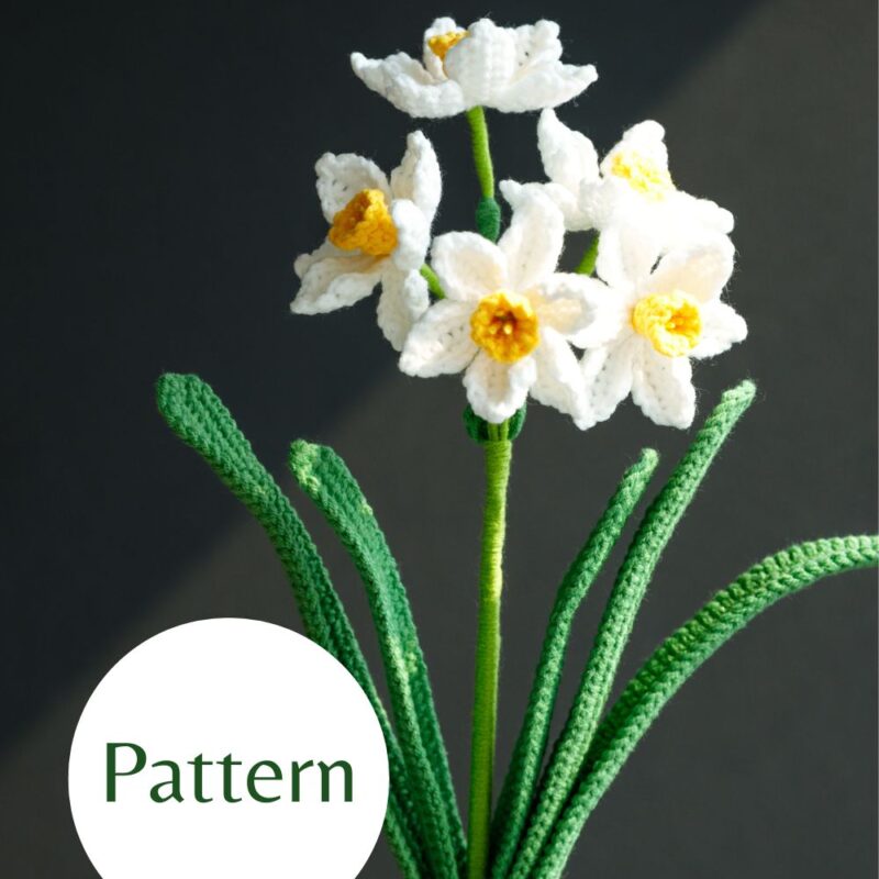 bunch flowered daffodil