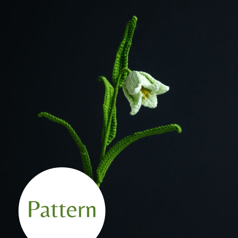 Fritillaria Acmopetala Flower