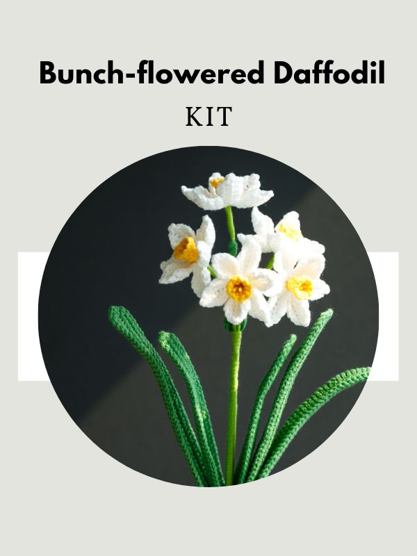 Crochet Bunch-flowered Daffodil Kit – Hookok