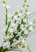 lily of valley wedding bouquet