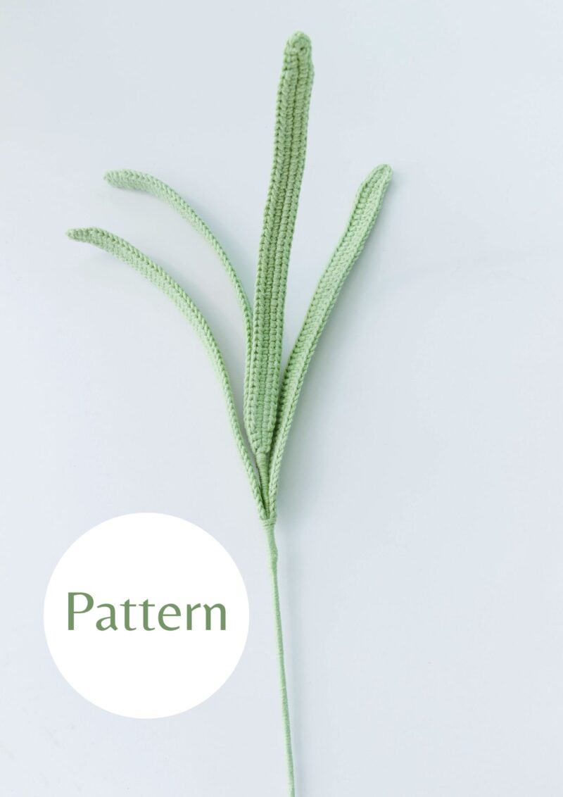 Cymbidium Leaf|hookok.com Cymbidium Leaf|hookok.com