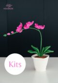 Moth Orchid Flower Pot-hookok