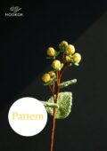 Hypericum Berries PDF238